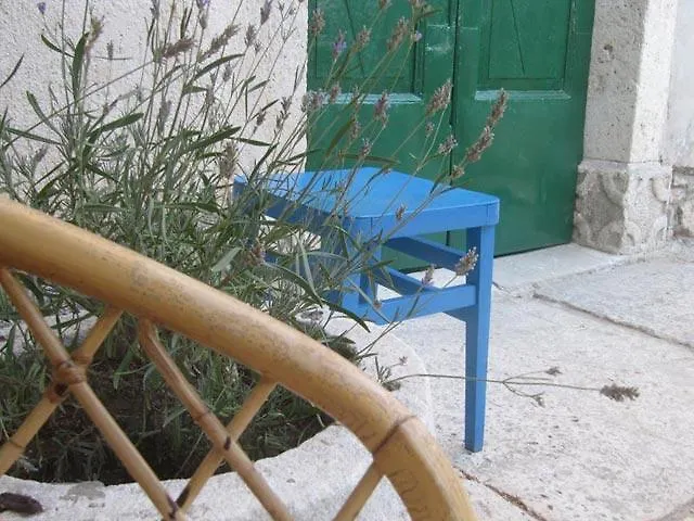House Palac Apartament *